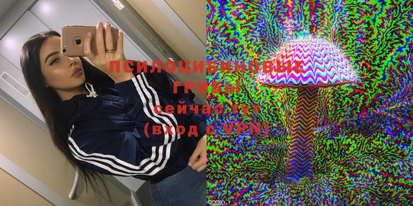 эйфоретик Алексин