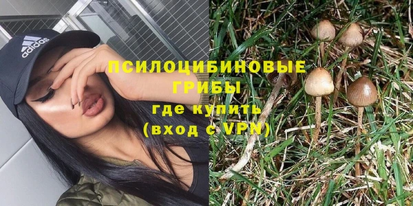 бутират Алексеевка